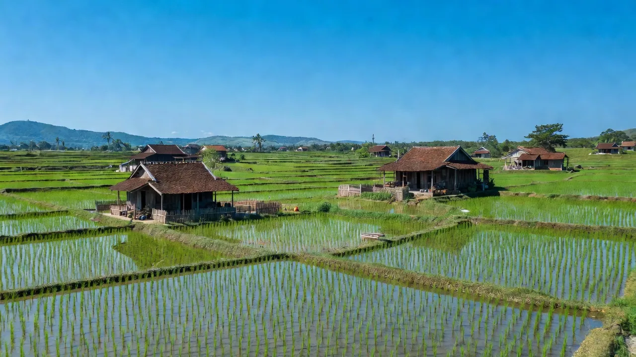 Cảnh quan nông thôn Xã Nhơn Hạnh, Thị xã An Nhơn, tỉnh Bình Định với cánh đồng xanh và nhà truyền thống.