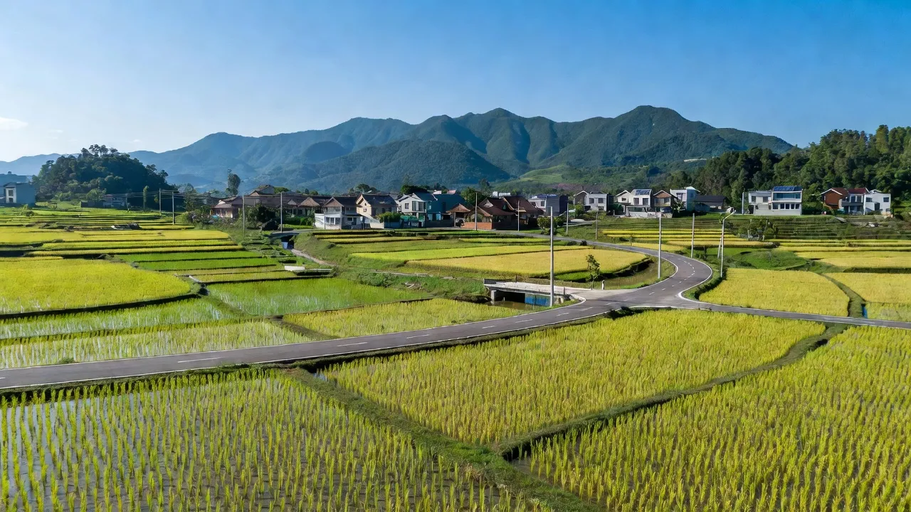 Cảnh quan xã Nhơn Lộc, Thị xã An Nhơn, tỉnh Bình Định, đồng lúa và hạ tầng hiện đại.
