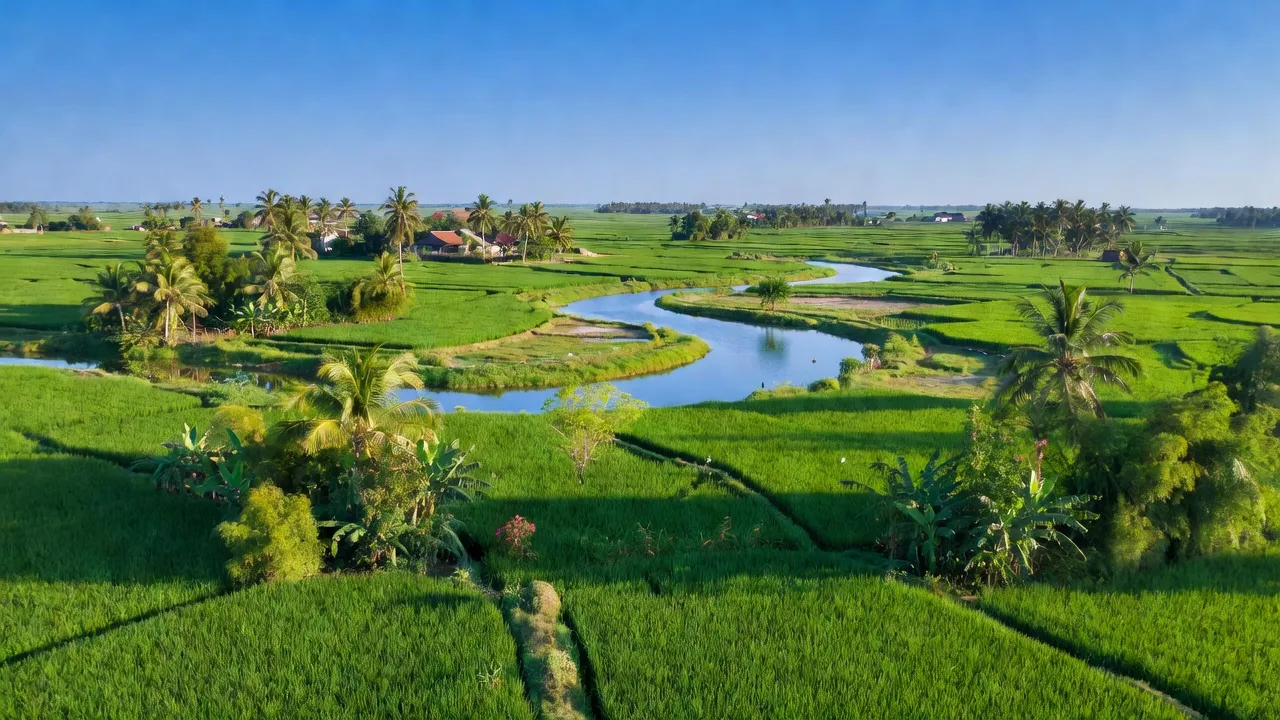 Nhơn Mỹ - hình ảnh minh họa 1