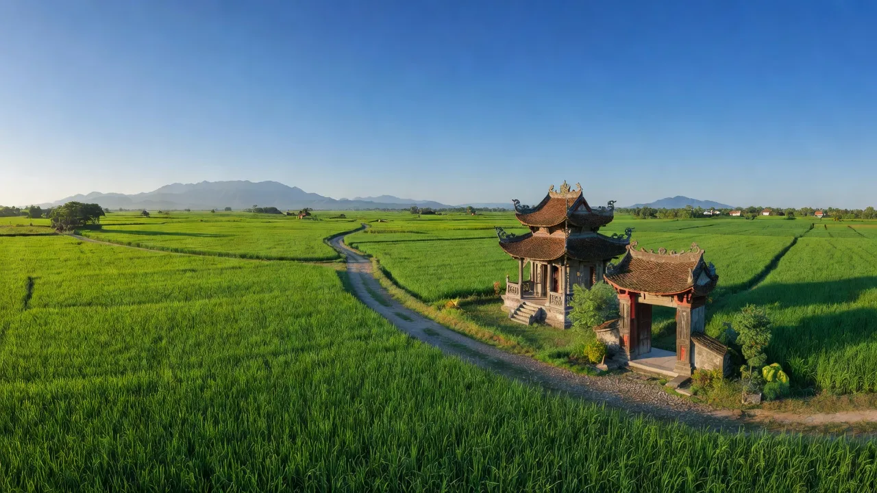 Cảnh quan xã Hoài Phú, Hoài Nhơn, Bình Định với cánh đồng xanh và trời xanh