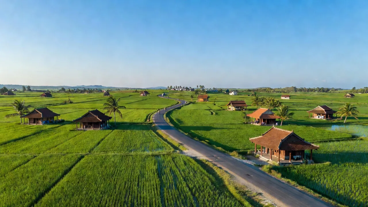 Cảnh đẹp xã Cát Minh, huyện Phù Cát, tỉnh Bình Định với cánh đồng xanh và đường Quốc lộ 1A.