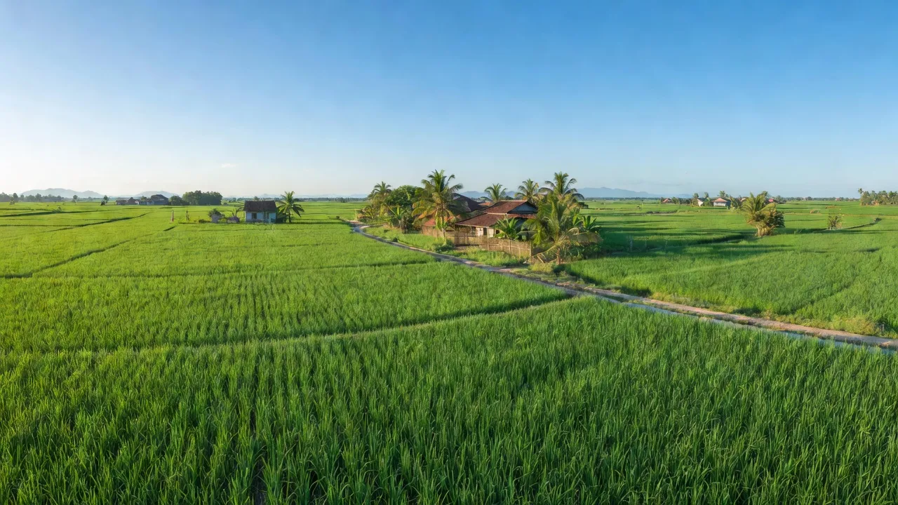 Xã Mỹ Chánh Tây, Huyện Phù Mỹ, Tỉnh Bình Định