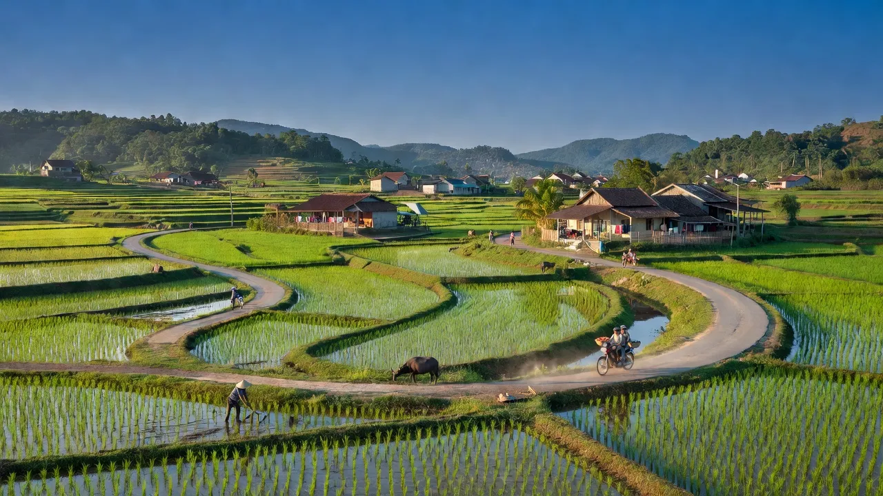 Khung cảnh xã Mỹ Thắng, huyện Phù Mỹ, Bình Định với đồng xanh và núi xa.