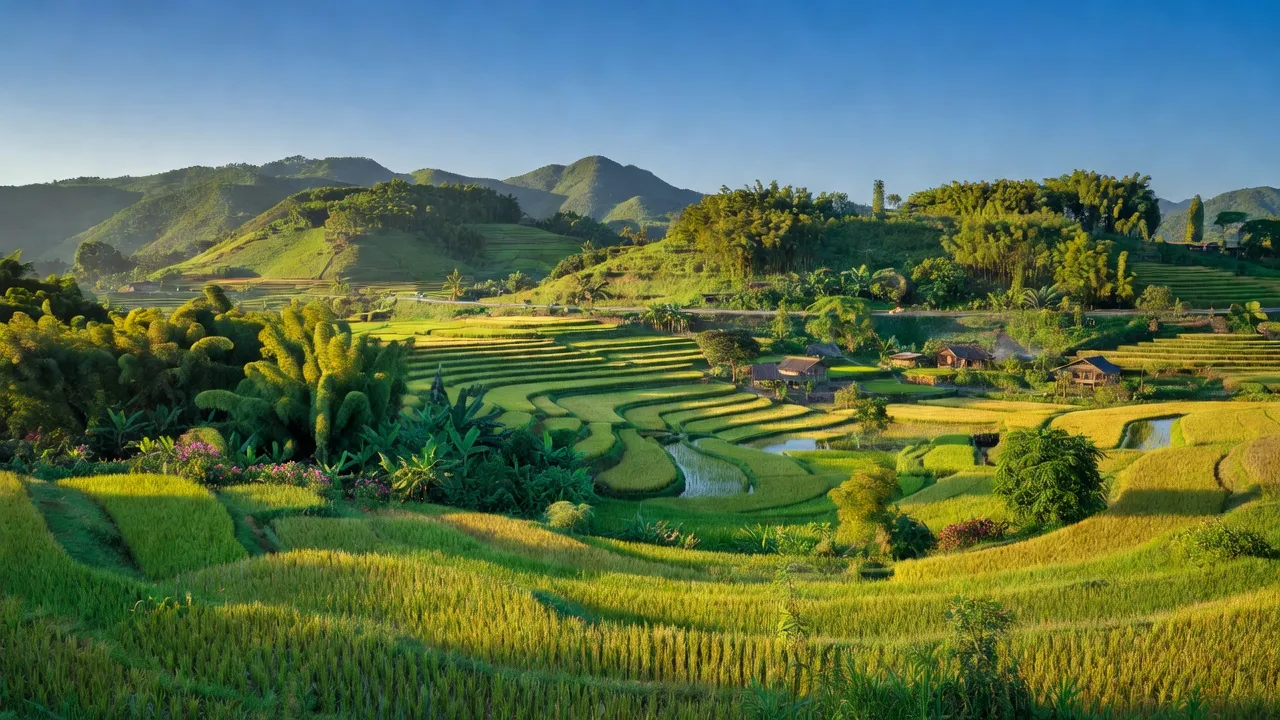 Xã Tây Giang, Huyện Tây Sơn, Tỉnh Bình Định