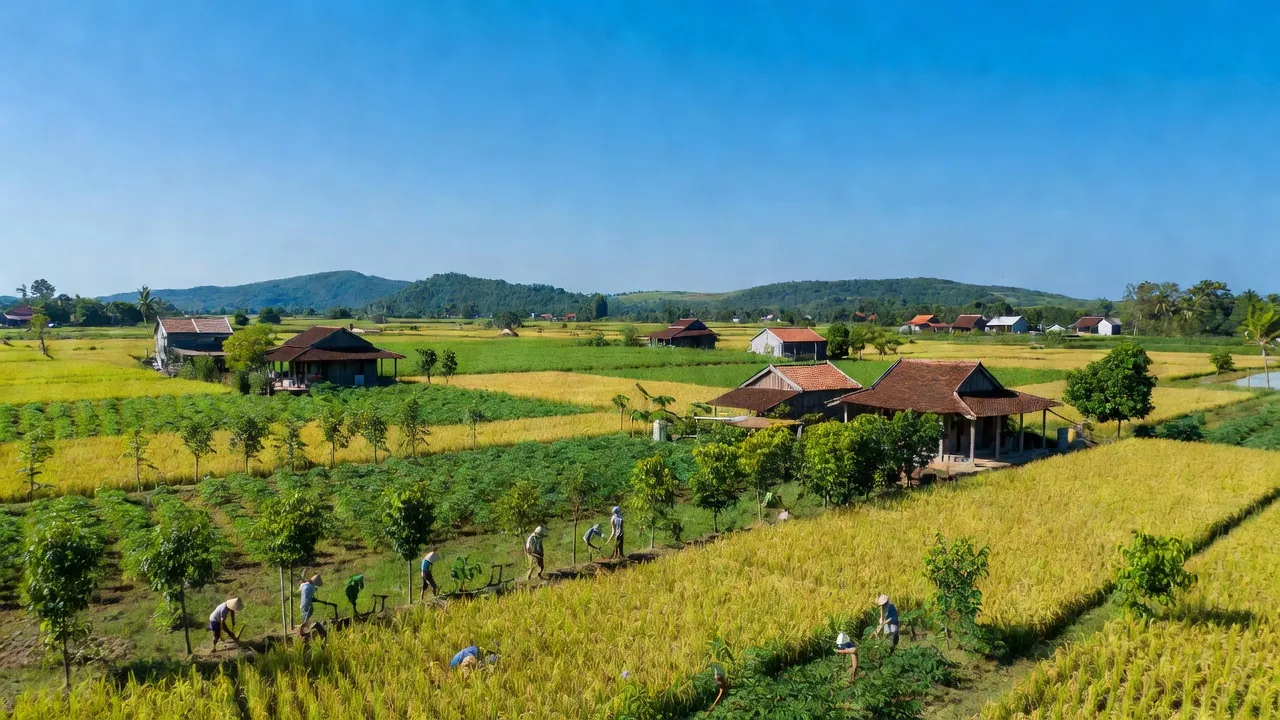 Xã Định Thành, Huyện Dầu Tiếng, Tỉnh Bình Dương