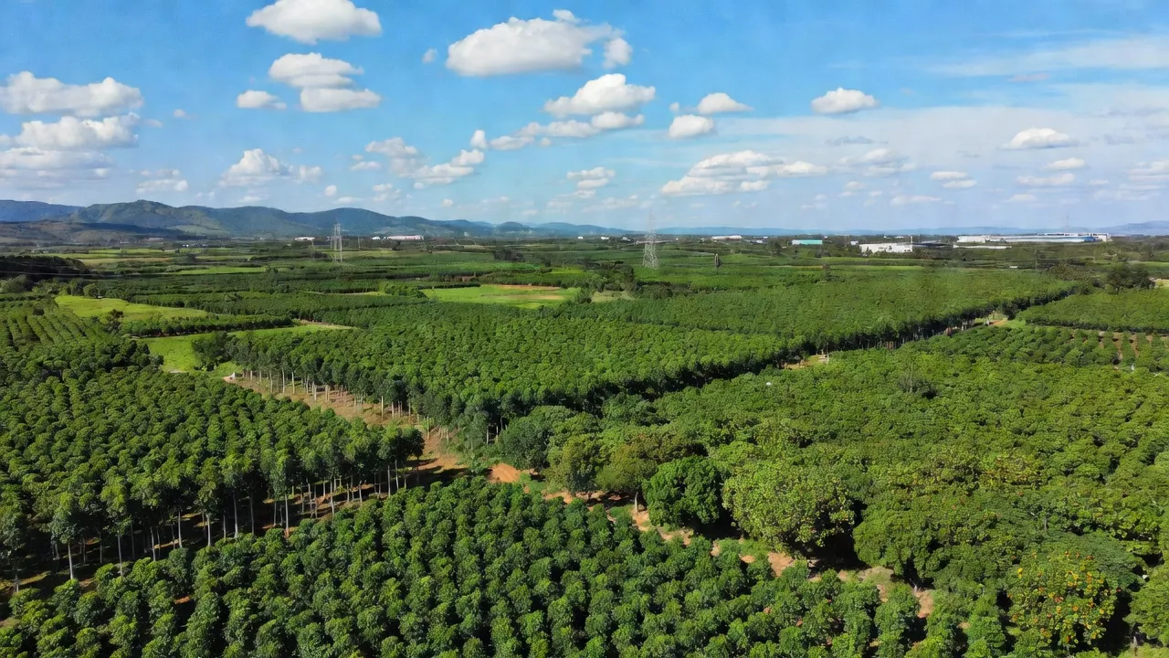 Xã Minh Hoà, Huyện Dầu Tiếng, Tỉnh Bình Dương