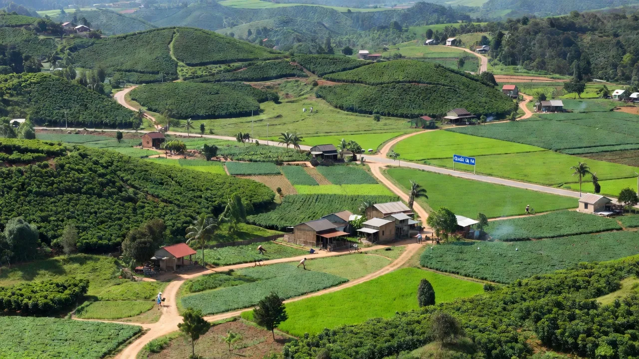 Khung cảnh xã Thống Nhất tại huyện Bù Đăng, Bình Phước với đồng xanh và nhà dân.