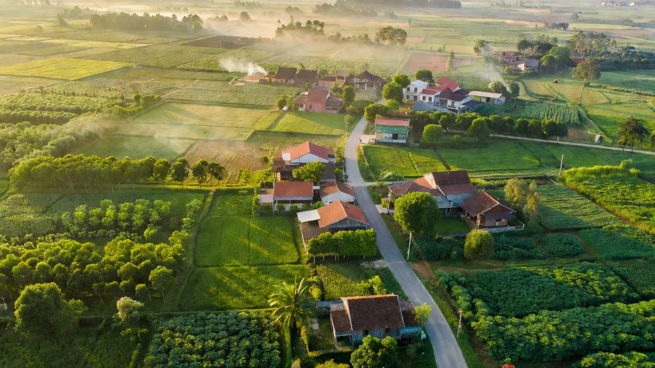 Cảnh đẹp xã Tân Phước, huyện Đồng Phú, tỉnh Bình Phước với cánh đồng và đường giao thông.