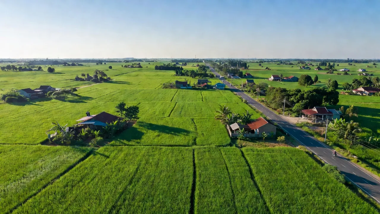 Cảnh sắc An Phú, Hớn Quản, Bình Phước với cánh đồng xanh và Quốc lộ 13. Natural beauty, rural landscape.
