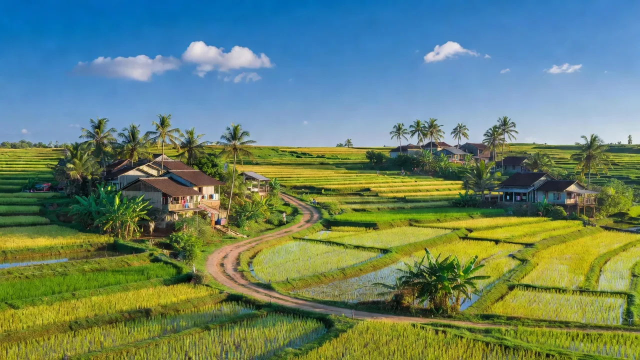 Cảnh quan làng Tân Quan, huyện Hớn Quản, tỉnh Bình Phước, với ruộng lúa và nhà ven đường.
