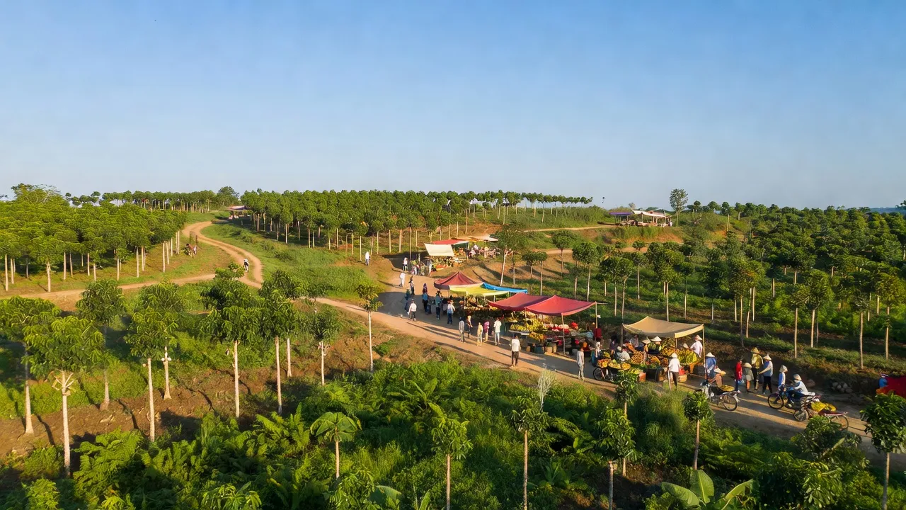 Lộc Điền - hình ảnh minh họa 1