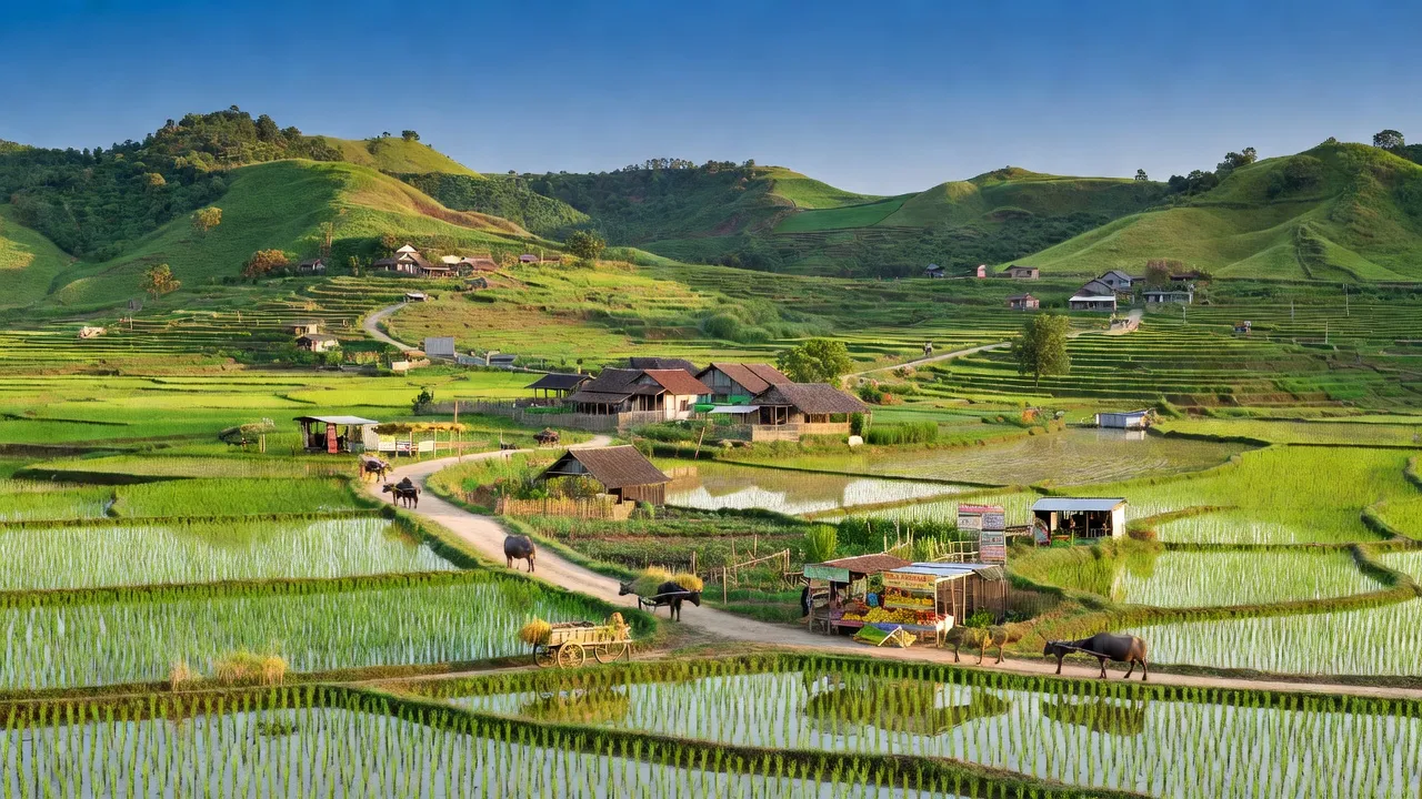 Toàn cảnh thị trấn Lương Sơn huyện Bắc Bình, ruộng lúa và bầu trời trong xanh, giao thương nông thôn.