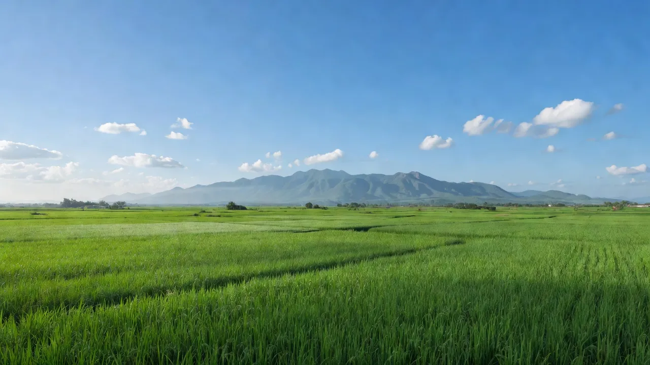 Hàm Hiệp - hình ảnh minh họa 1