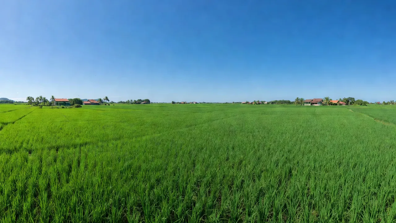 Hàm Liêm - hình ảnh minh họa 1