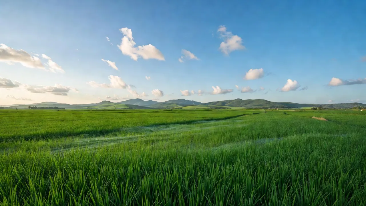 Phong cảnh xã Mương Mán, huyện Hàm Thuận Nam, tỉnh Bình Thuận với đồng xanh và đồi núi thấp.