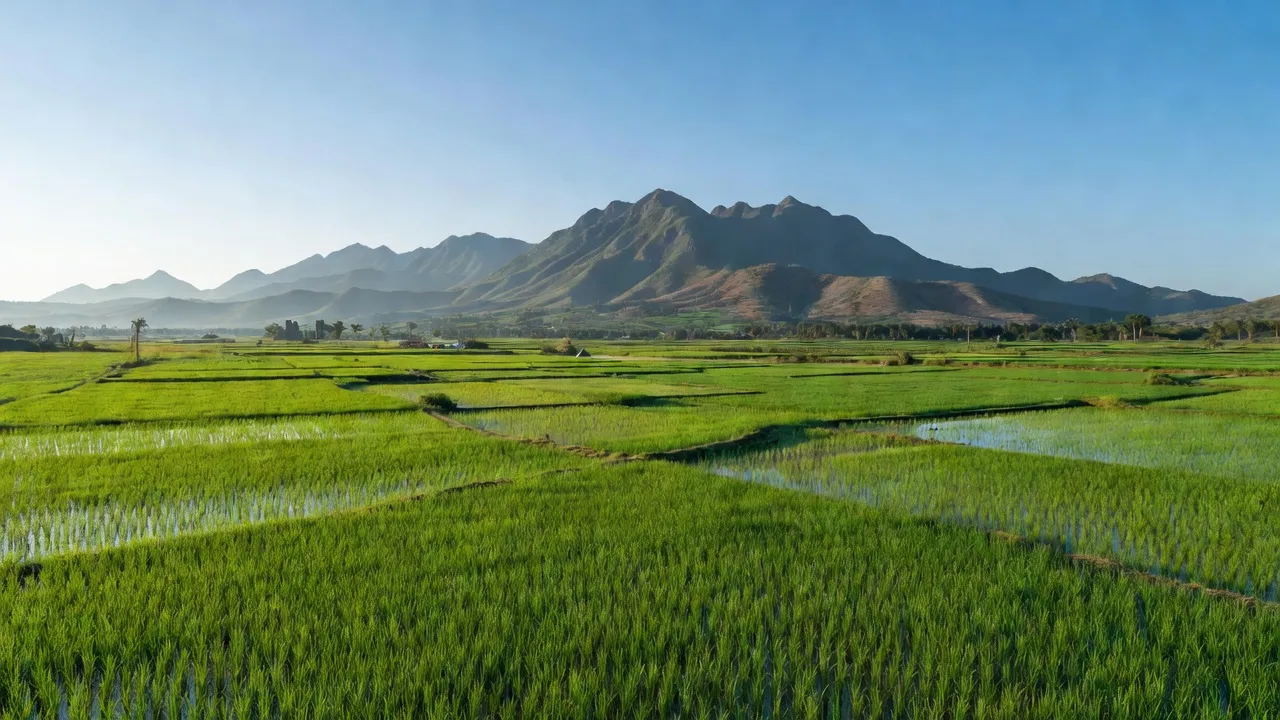 Cảnh đẹp ở xã Đức Thuận, huyện Tánh Linh, tỉnh Bình Thuận với cánh đồng và núi non.