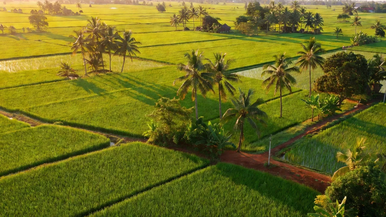 Gia An - hình ảnh minh họa 1