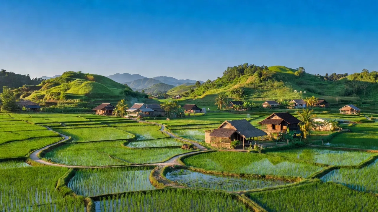 Khung cảnh yên bình của xã Suối Kiết, huyện Tánh Linh, với ruộng xanh và nhà truyền thống.