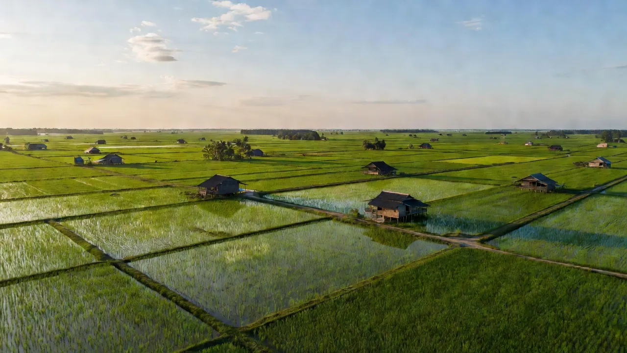 Lương Thế Trân - hình ảnh minh họa 1