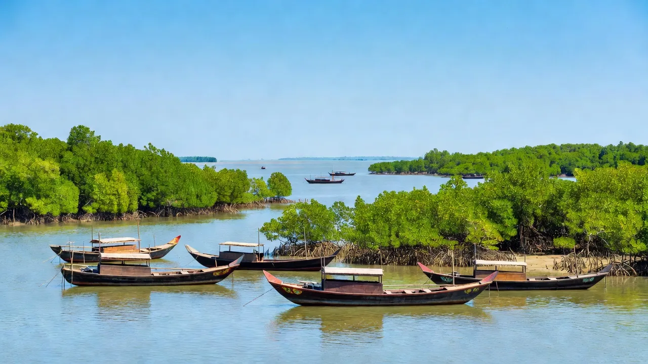Huyện Năm Căn, Tỉnh Cà Mau - Giới thiệu quận huyện