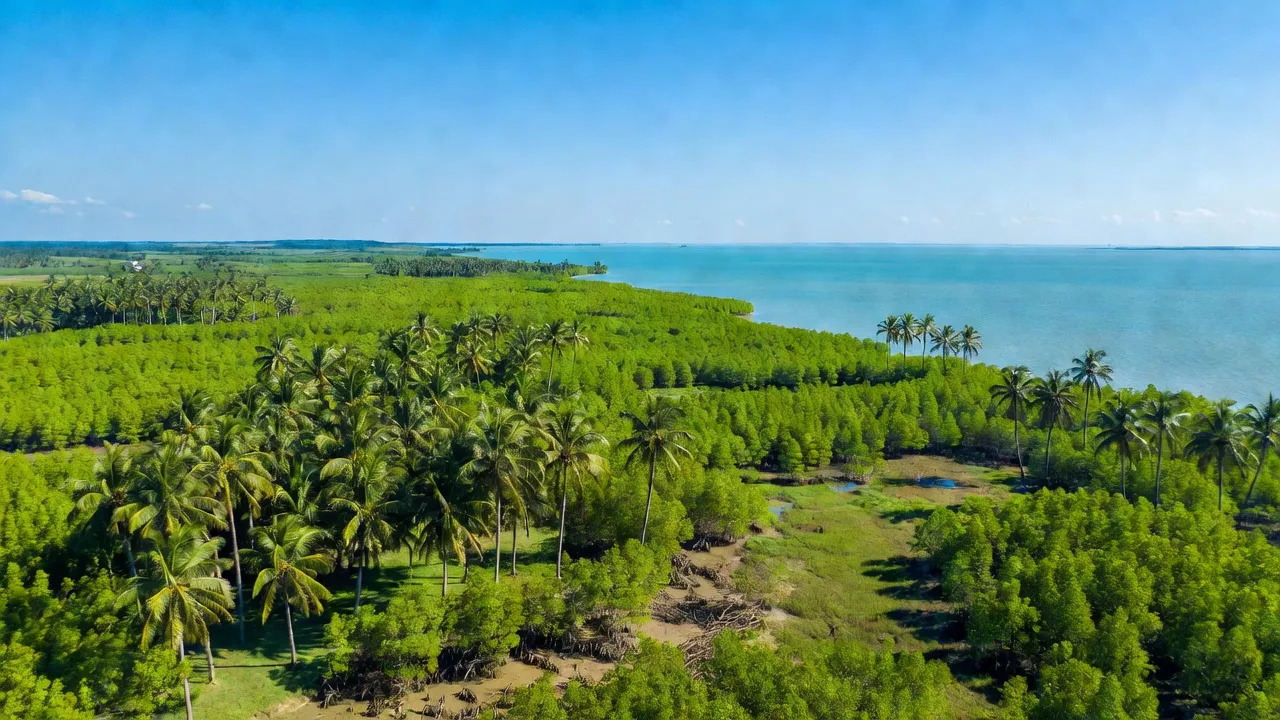 Xã Đất Mũi, Huyện Ngọc Hiển, Tỉnh Cà Mau