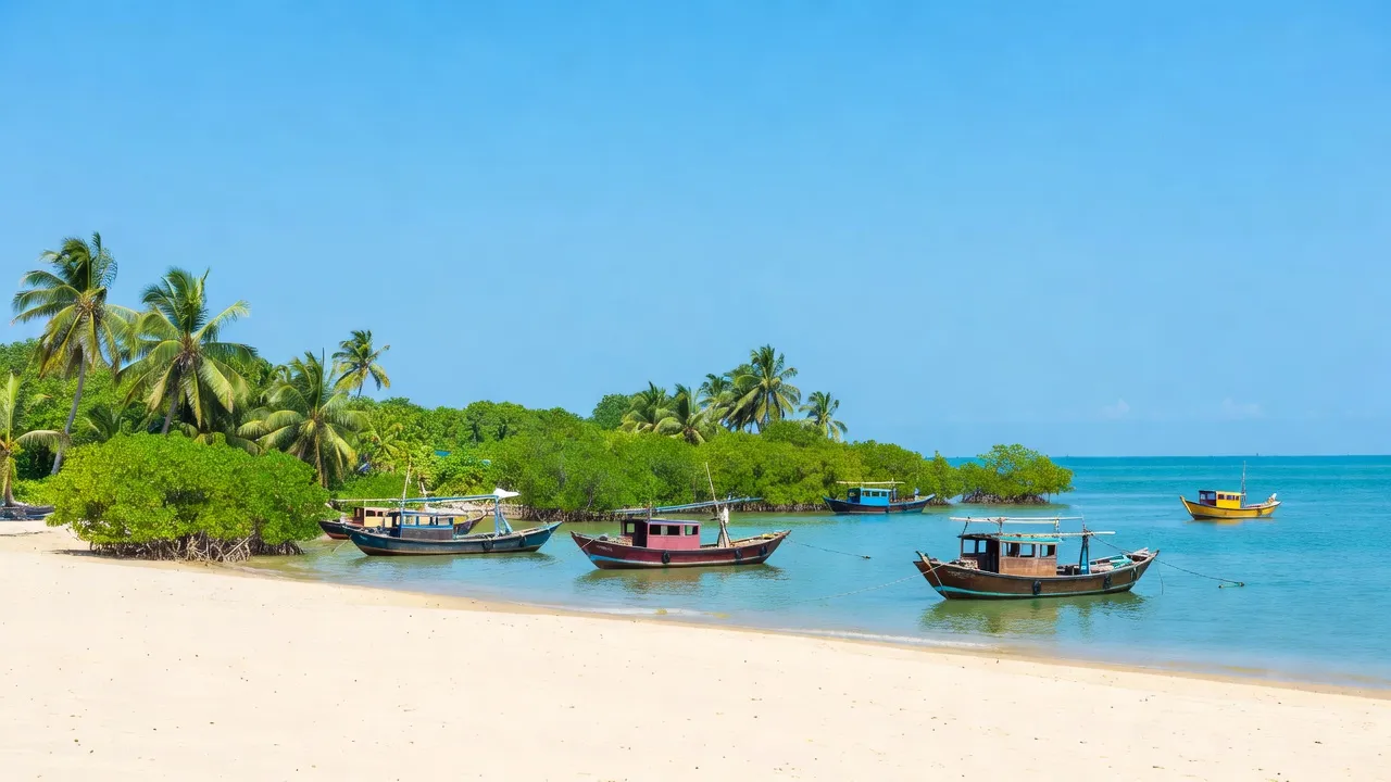 Tam Giang Tây - hình ảnh minh họa 1