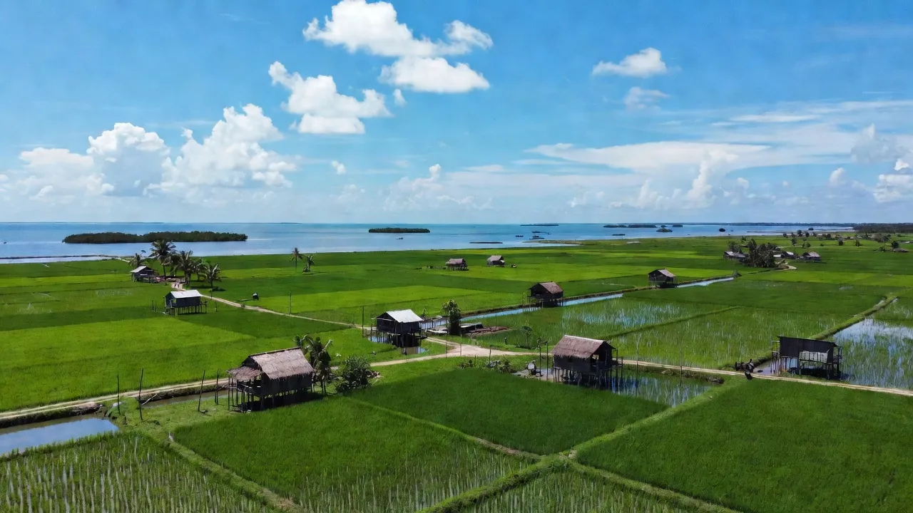Khung cảnh xanh tươi của xã Biển Bạch, huyện Thới Bình, tỉnh Cà Mau với cánh đồng và khí trời trong lành.