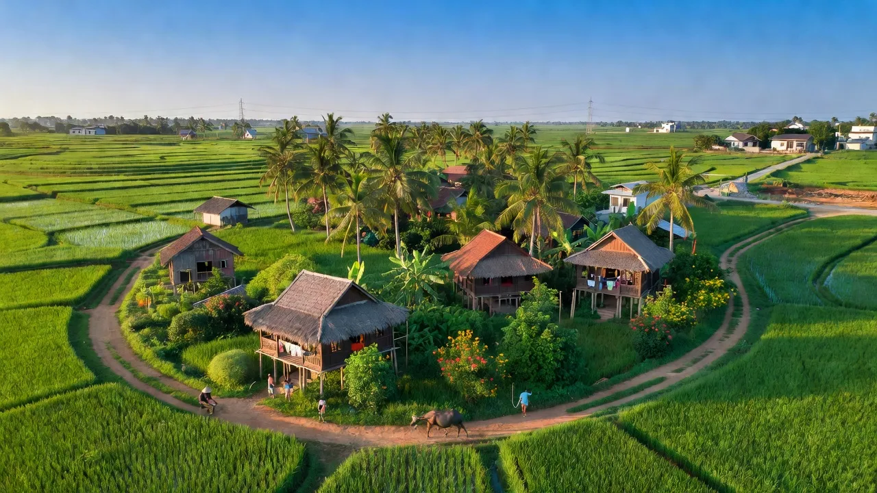 Cảnh quan huyện Cờ Đỏ, Cần Thơ với cánh đồng lúa và nhà truyền thống, thể hiện nét đẹp nông thôn.