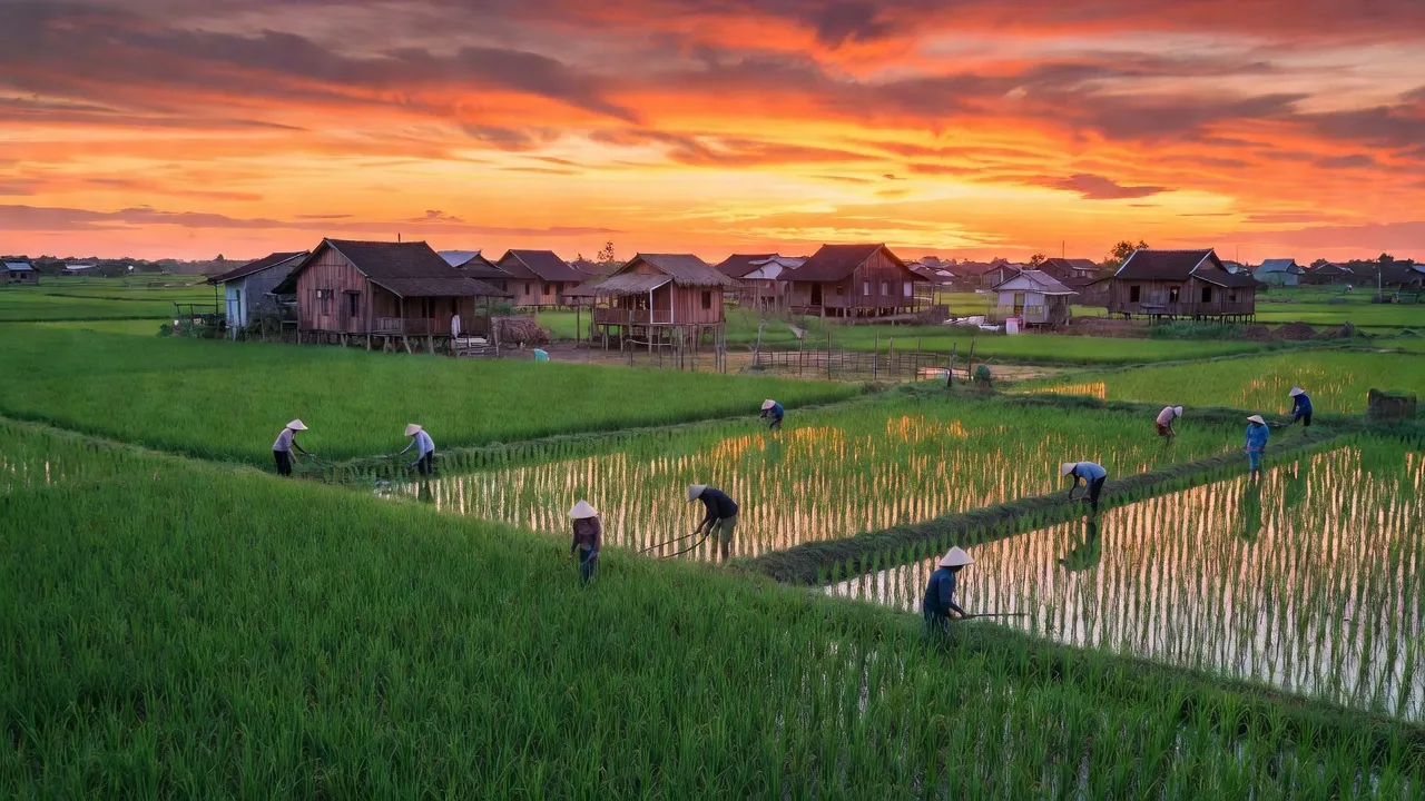 Xã Đông Hiệp, Huyện Cờ Đỏ, Thành phố Cần Thơ