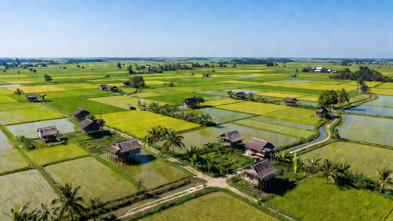 Khung cảnh đẹp của xã Thạnh Phú, huyện Cờ Đỏ, Cần Thơ với ruộng đồng xanh tươi.