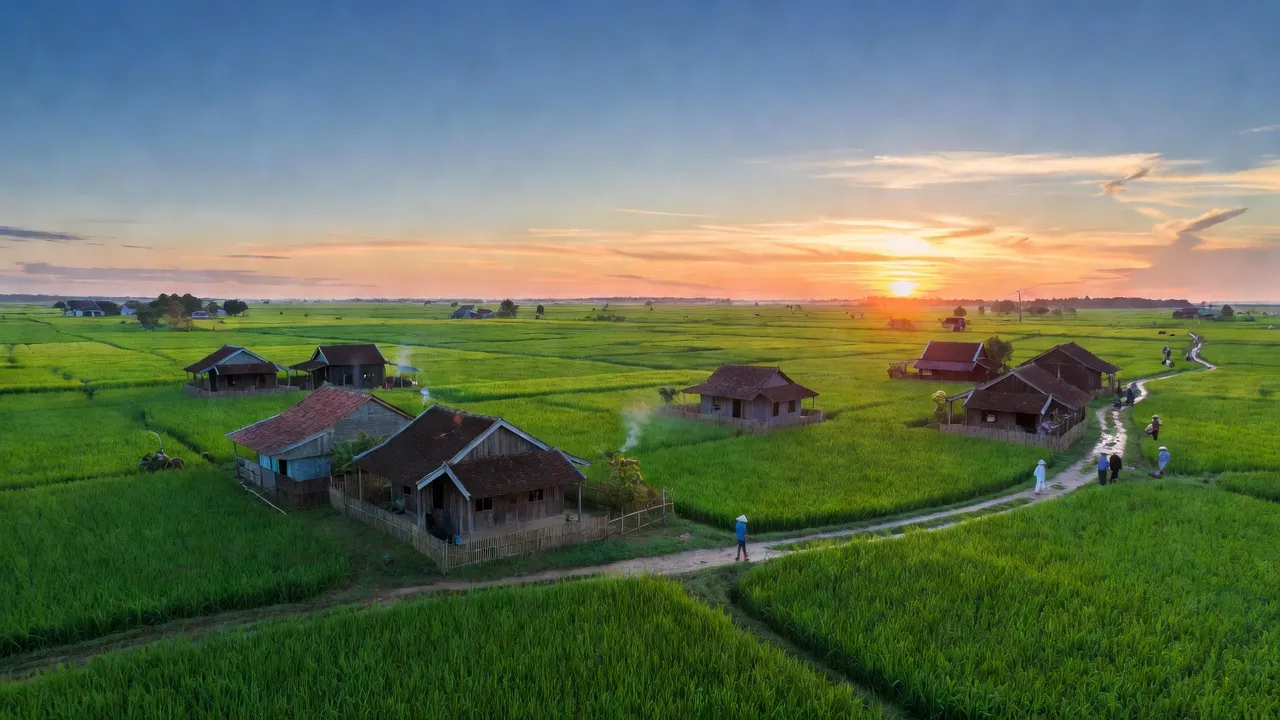 Khung cảnh yên bình của Xã Thạnh Phú, huyện Cờ Đỏ, thành phố Cần Thơ với cánh đồng xanh.