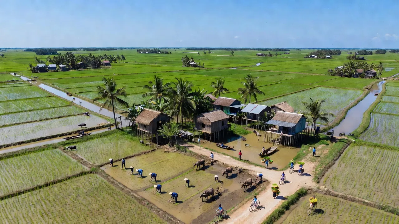 Cảnh đẹp Xã Giai Xuân, Huyện Phong Điền, Cần Thơ với đồng ruộng xanh và bầu trời trong xanh.