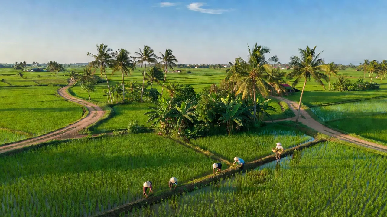 Cảnh quan Phường Long Hưng, Quận Ô Môn, Cần Thơ với đồng xanh và người nông dân làm việc.