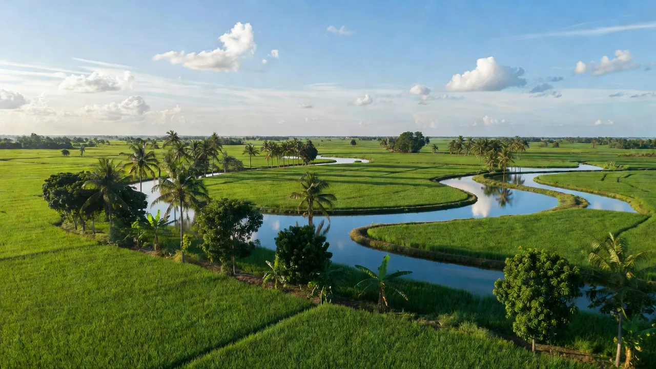Cảnh đẹp Xã Trường Thắng, huyện Thới Lai, thành phố Cần Thơ, với ruộng xanh và sông nước.
