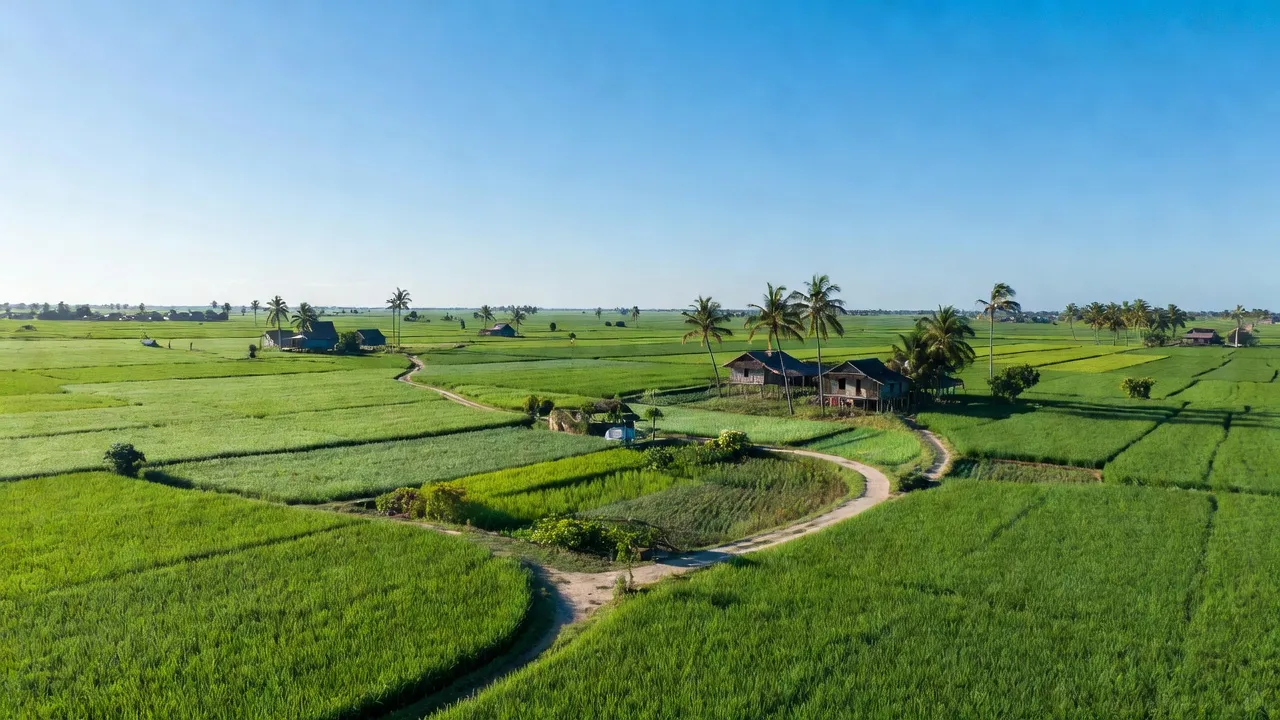 Xã Trường Xuân B, Huyện Thới Lai, Thành phố Cần Thơ