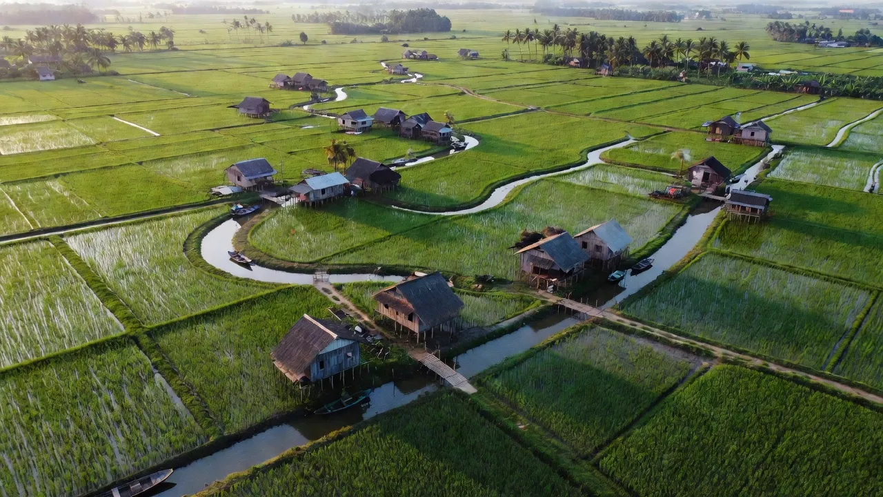 Khung cảnh đẹp của xã Thạnh Thắng, huyện Vĩnh Thạnh, Cần Thơ với cánh đồng và nhà truyền thống.