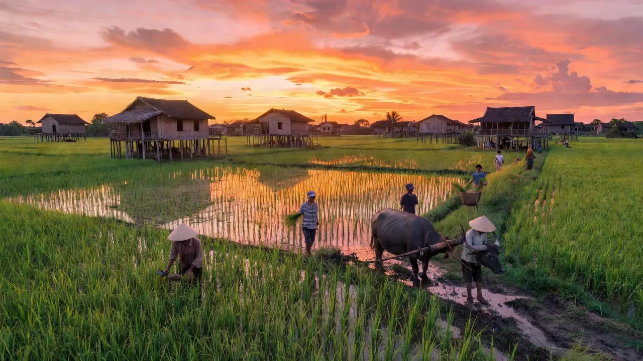Xã Vĩnh Trinh, Huyện Vĩnh Thạnh, Thành phố Cần Thơ