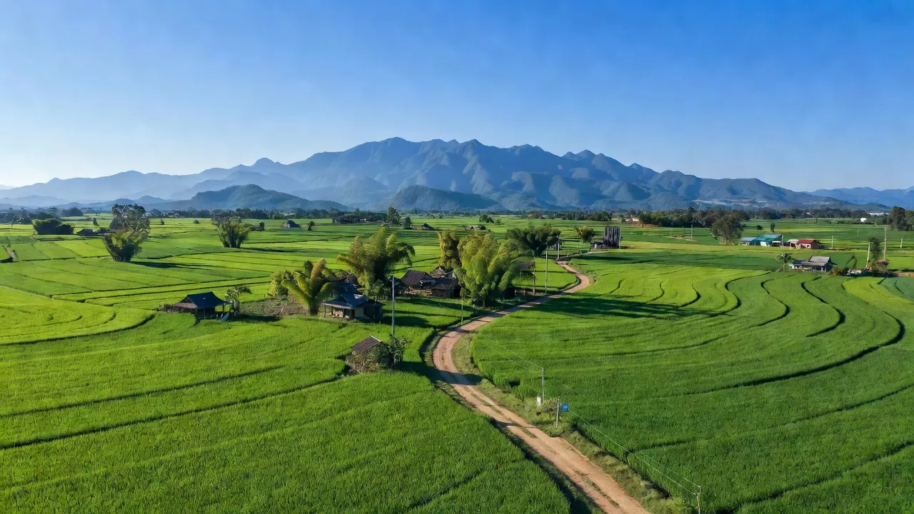 Cảnh đẹp xã Ea Kao, Buôn Ma Thuột, Đắk Lắk với cánh đồng xanh và núi non xa xa.