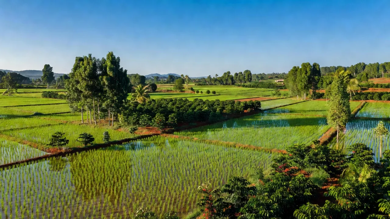 Cảnh đẹp xã Quảng Hiệp, huyện Cư M'gar, tỉnh Đắk Lắk, đồng ruộng xanh tươi, đất đỏ bazan màu mỡ.