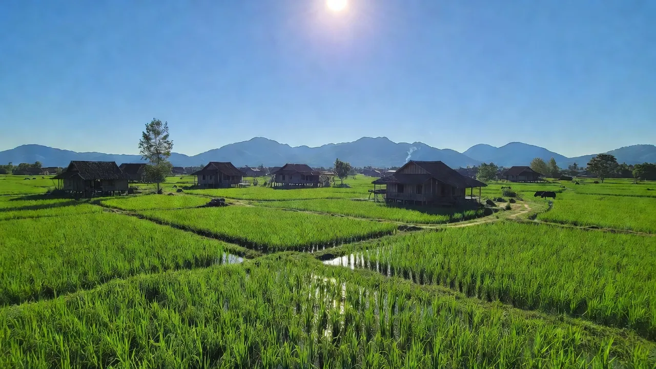 Khung cảnh yên bình của xã Ea Đar, huyện Ea Kar, tỉnh Đắk Lắk với cánh đồng xanh.