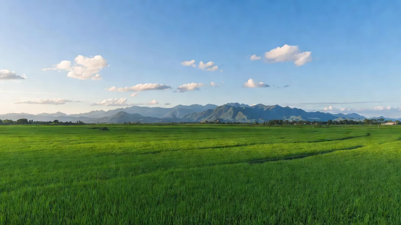 Ea Ô - hình ảnh minh họa 2