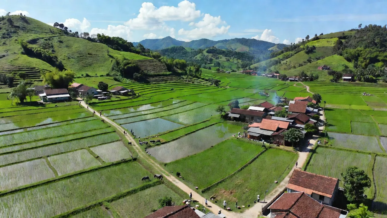 Khung cảnh nông thôn xã Xuân Phú, huyện Ea Kar, Đắk Lắk, với đồng ruộng và làng quê xanh tươi.