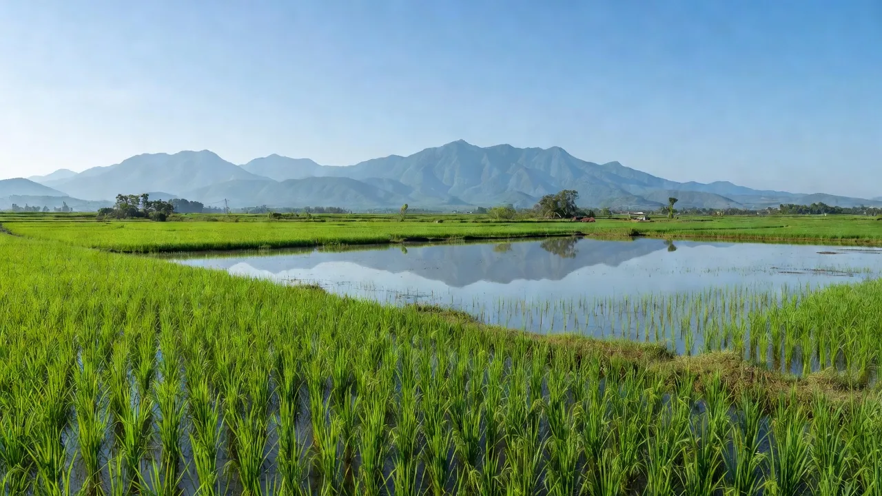 Ea Bông - hình ảnh minh họa 1