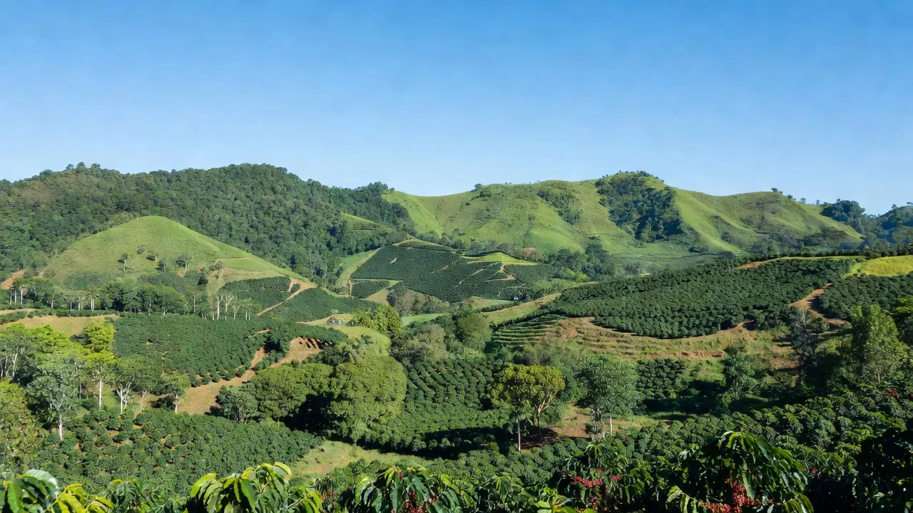 Huyện Krông Bông, Tỉnh Đắk Lắk - Giới thiệu quận huyện