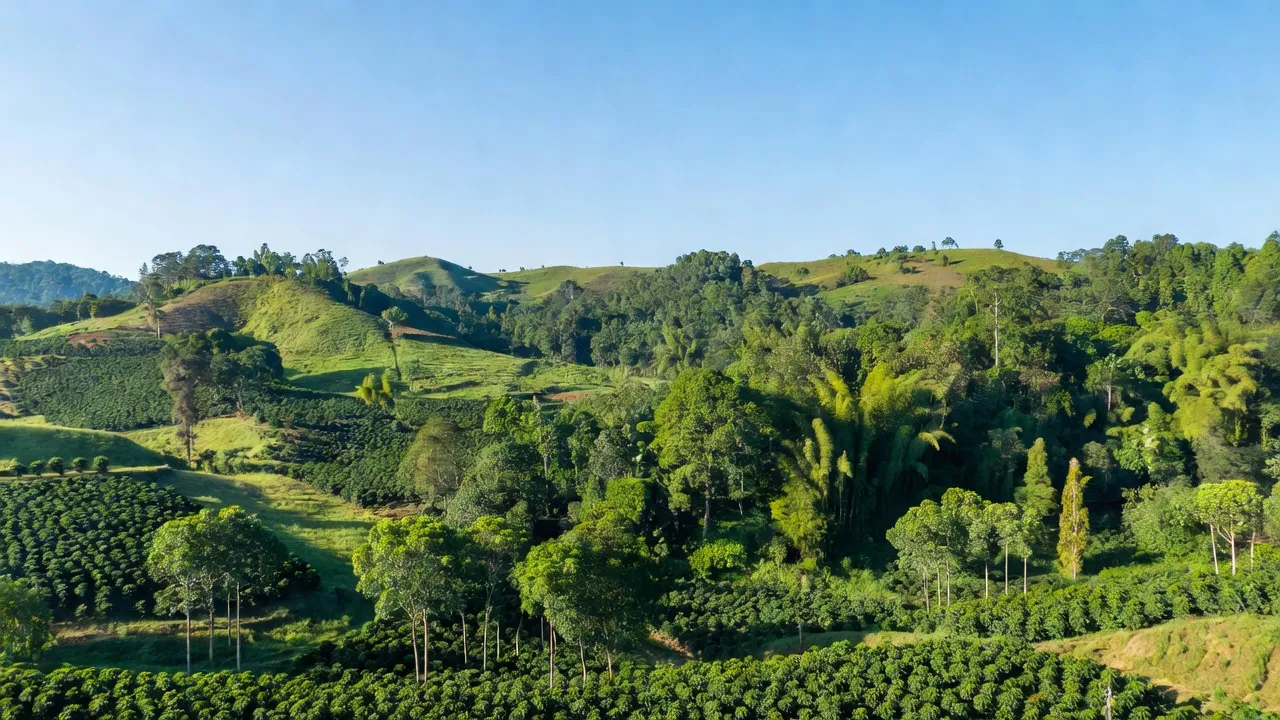 Quang cảnh xanh tươi của xã Ea Sin, huyện Krông Búk, Đắk Lắk với đất nông nghiệp và đồi núi.