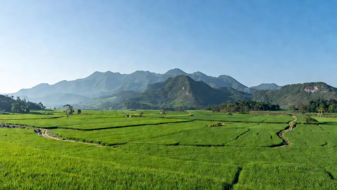 Cảnh quan xã Ea Kuăng, huyện Krông Pắc, tỉnh Đắk Lắk, với cánh đồng và núi non.