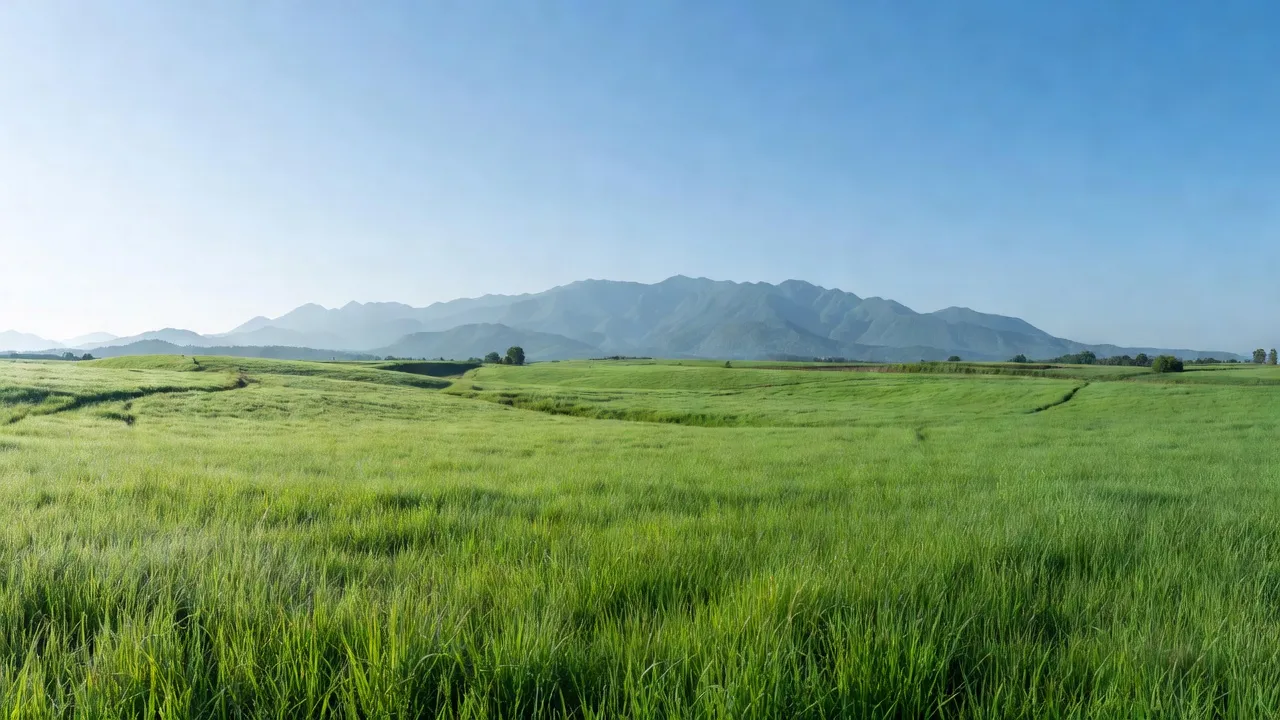 Cánh đồng xanh tại xã Ea Yông, huyện Krông Pắc, tỉnh Đắk Lắk, giữa núi non hùng vĩ.