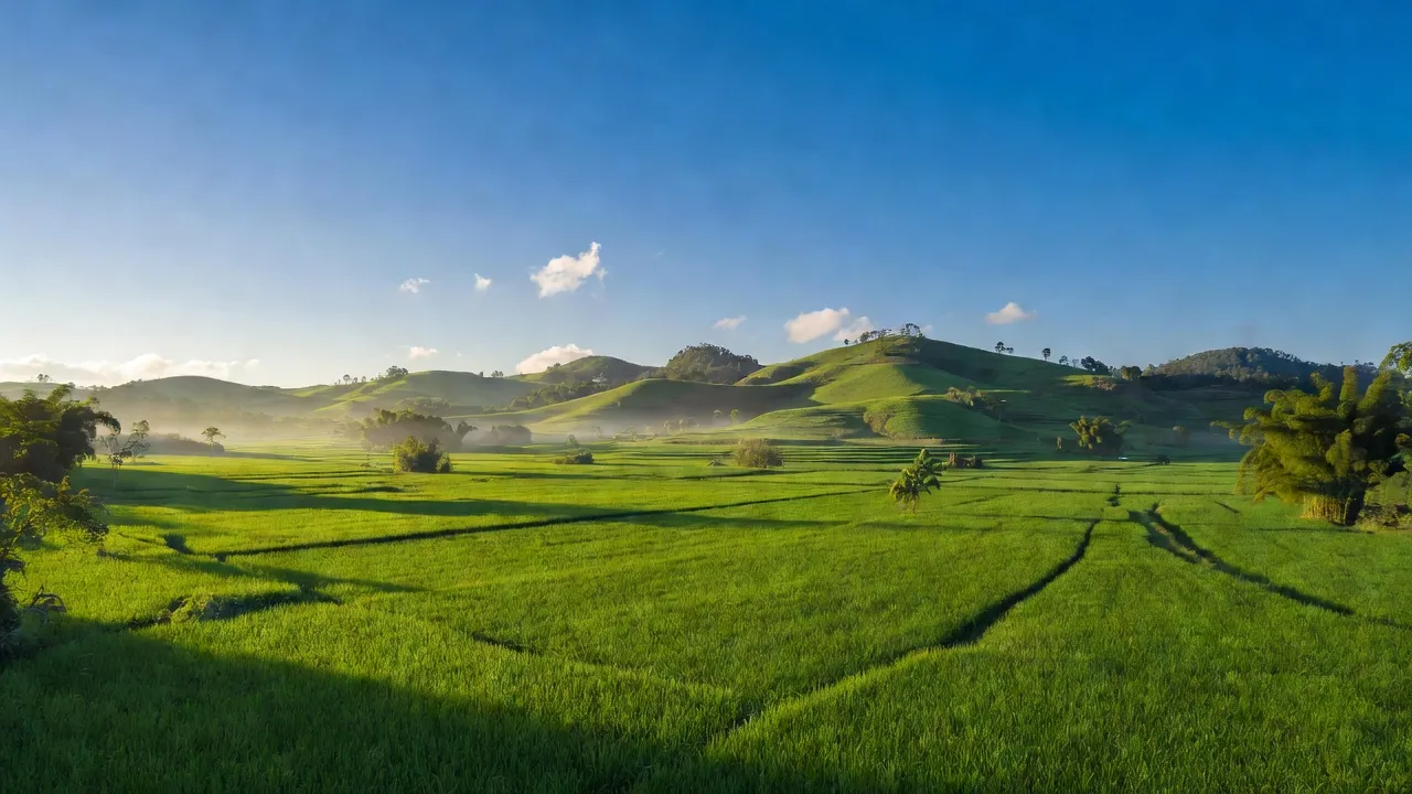Cảnh nông thôn Đắk Nuê, Lắk, Đắk Lắk với cánh đồng xanh, đồi và bầu trời trong xanh.