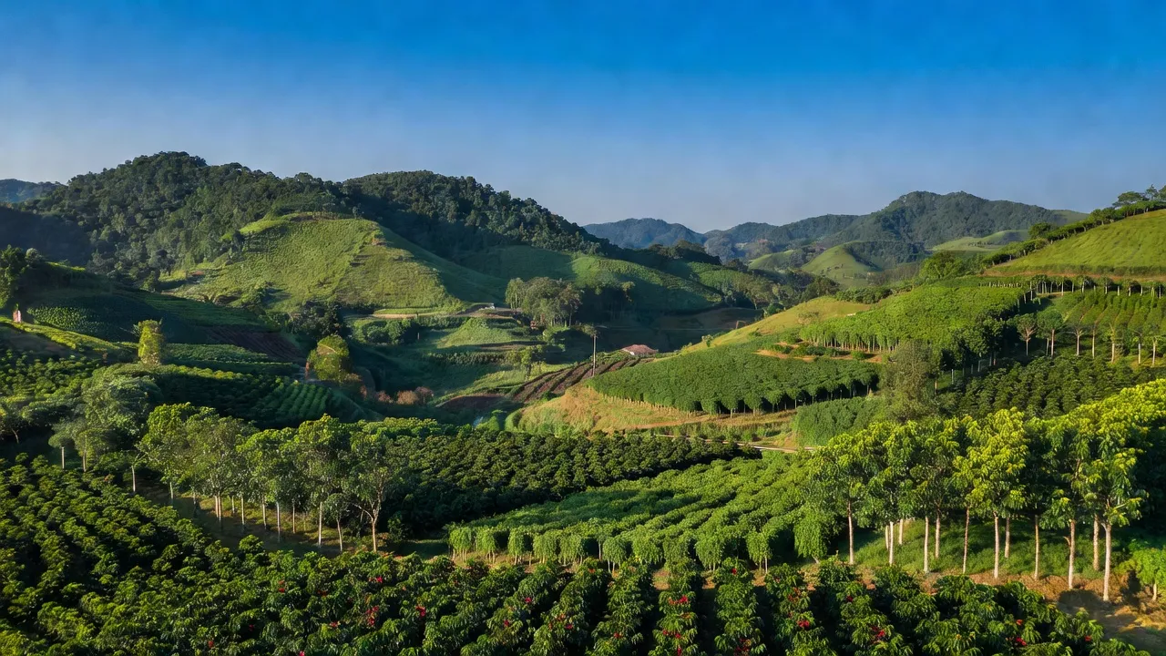 Cảnh quan huyện M'Đrắk, Đắk Lắk với đồi núi xanh tươi và cánh đồng nông nghiệp.
