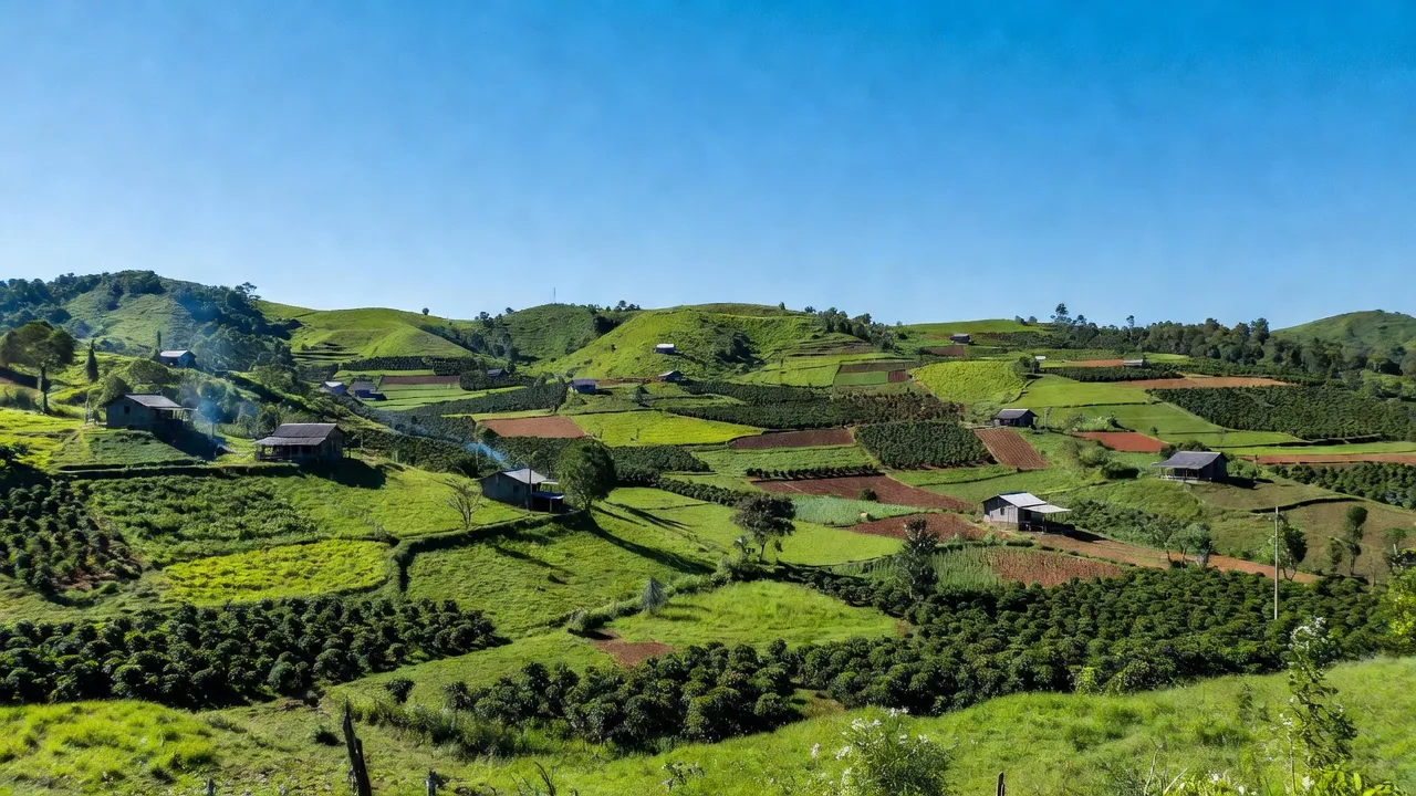 Xã Đắk DRông, Huyện Cư Jút, Tỉnh Đắk Nông